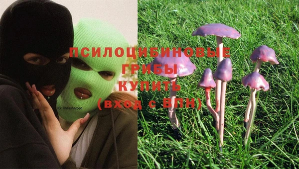 mdma Вяземский