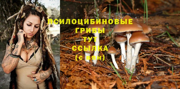 мескалин Вязники